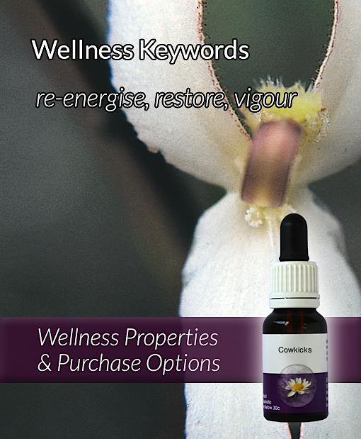 Flower Essence - Crisis Relief Blend
