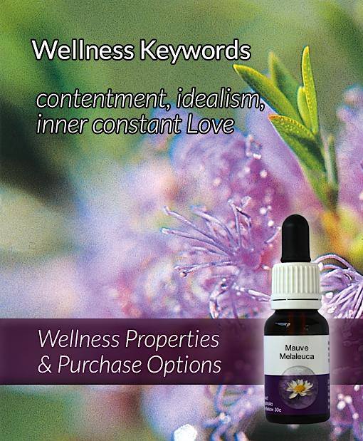 Flower essence - Anger Blend