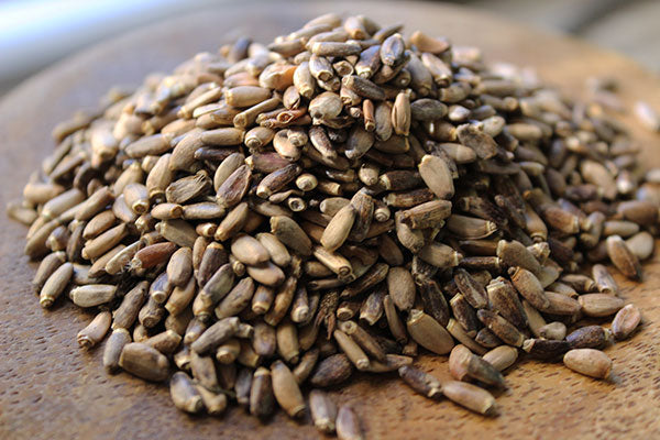 Gallbladder Health Elixir