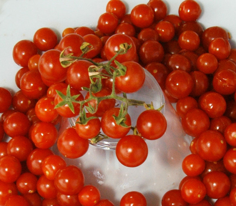 Tomato - Organic Red Currant