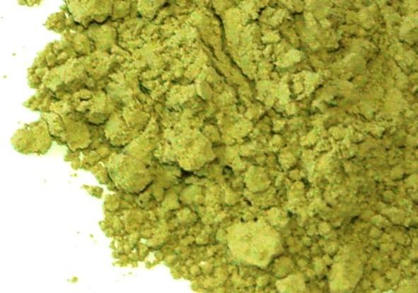 Atlantic Kelp - Certified Organic