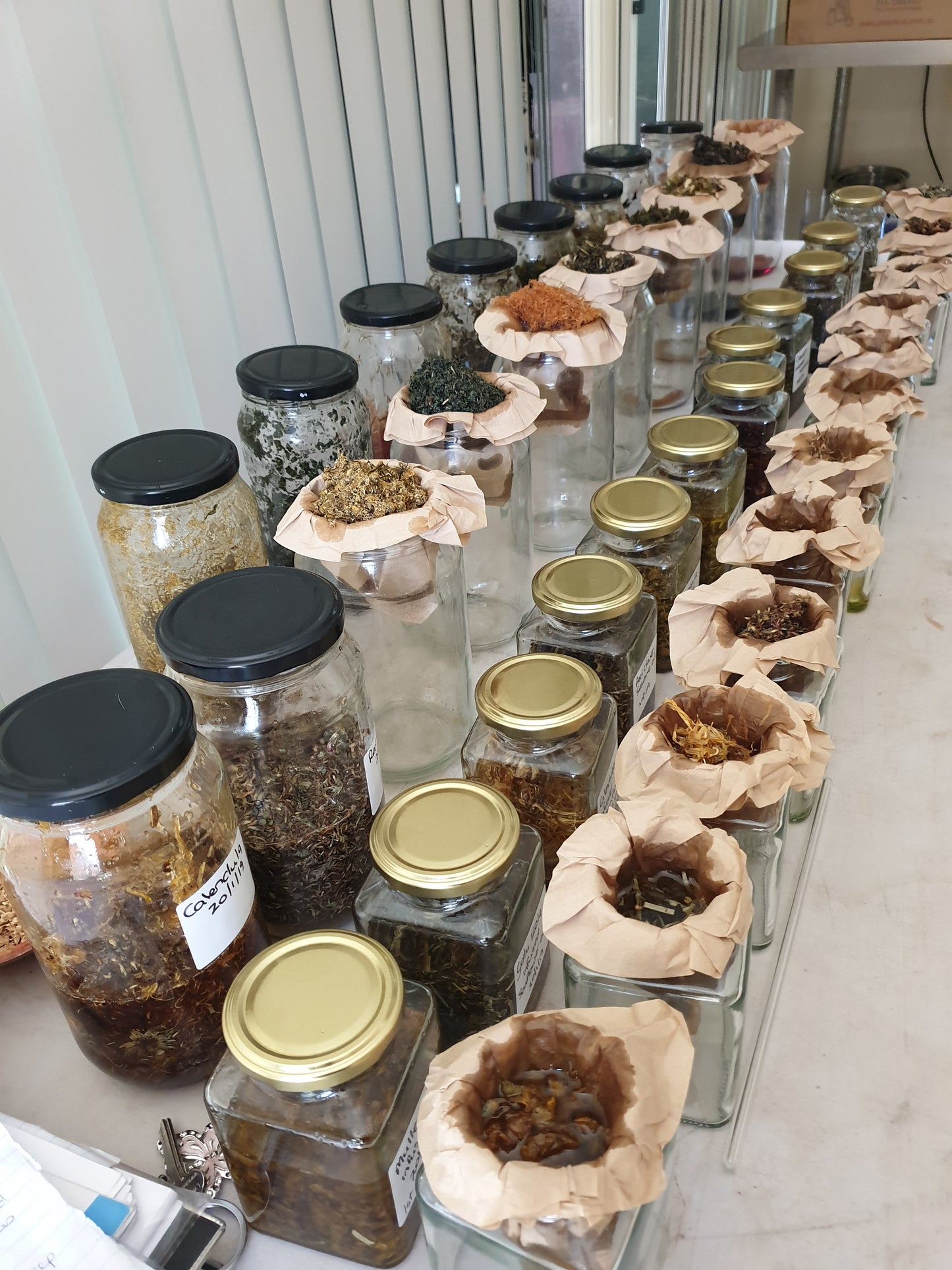 Anti-Inflammatory - Glycetract