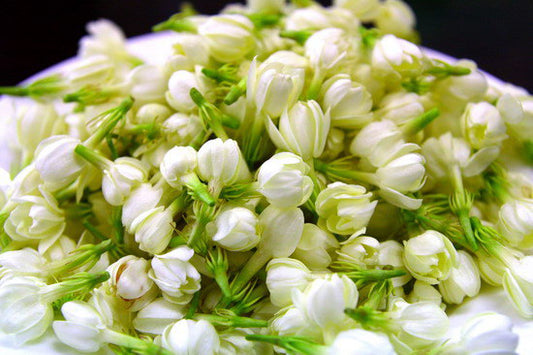 Jasmine Buds - Certified Organic