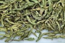 Lemon Verbena - Organic