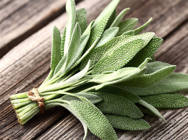 Sage - Certified Organic