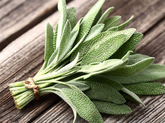 Sage - Certified Organic