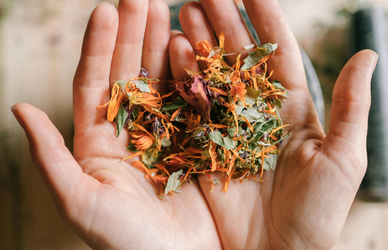 Is Stress impacting your Immune System?