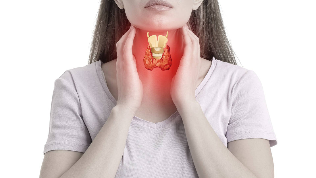 Understanding Thyroid and Adrenal Health: Natural Remedies