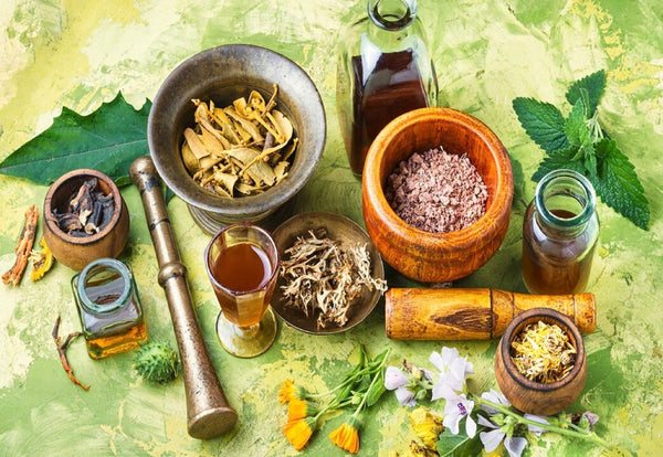 Elixir Tree Academic Elixir – Oak Tree Herbal Clinic