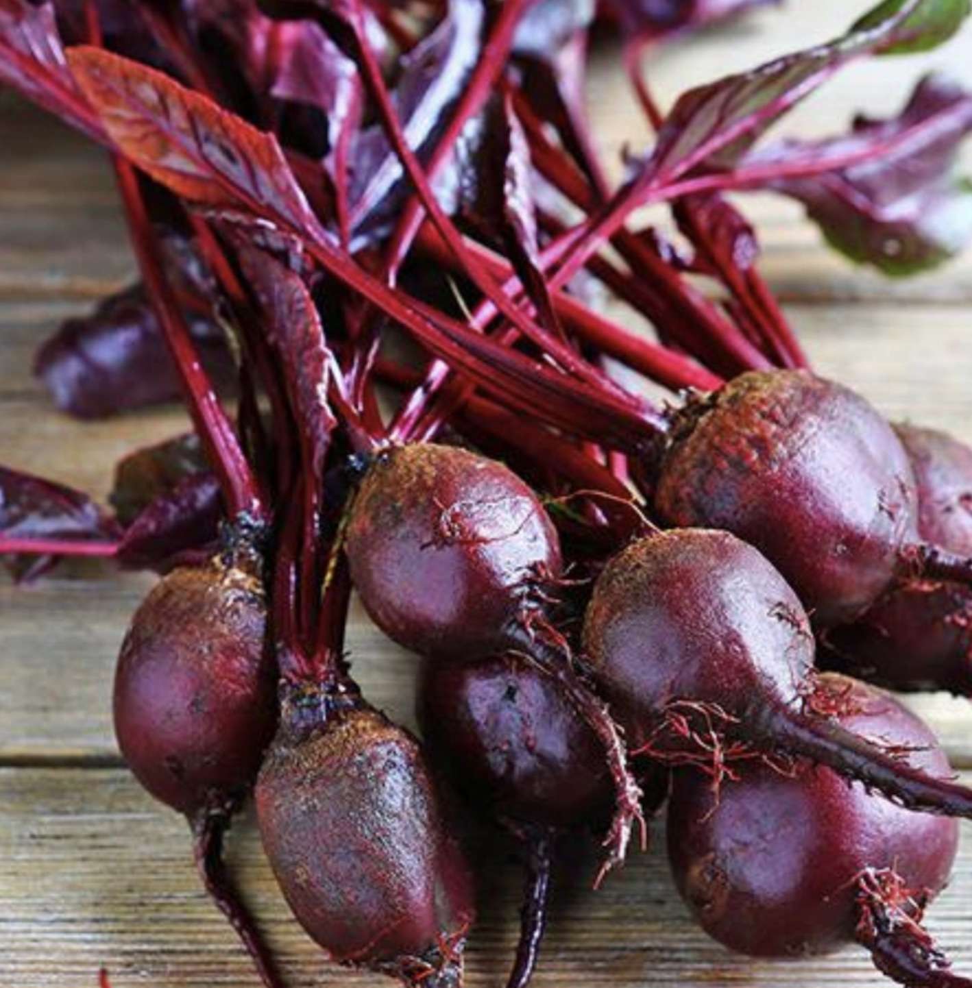 Beetroot - Organic Bullsblood