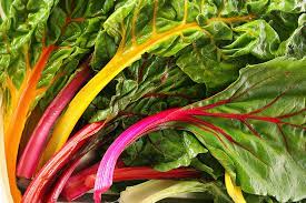 Chard - Rainbow