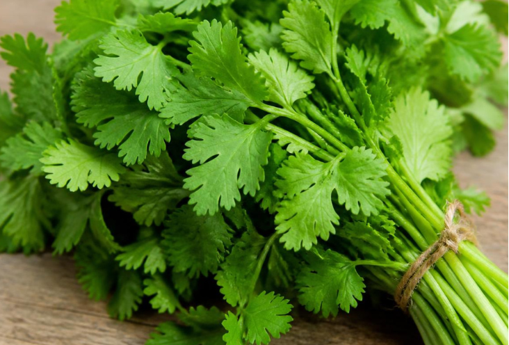 Coriander Leaf Loose Tea - Certified Organic