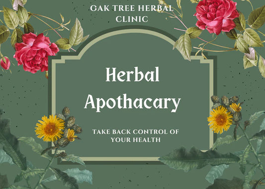 Herbal Manufacturing - HerbalAlchemy: Crafting Nature's Remedies