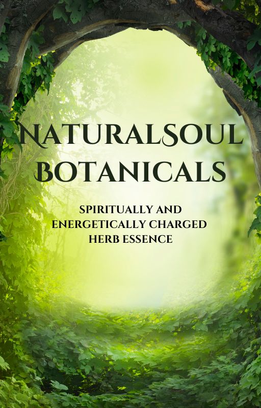 NaturalSoul Botanicals - Mugwort