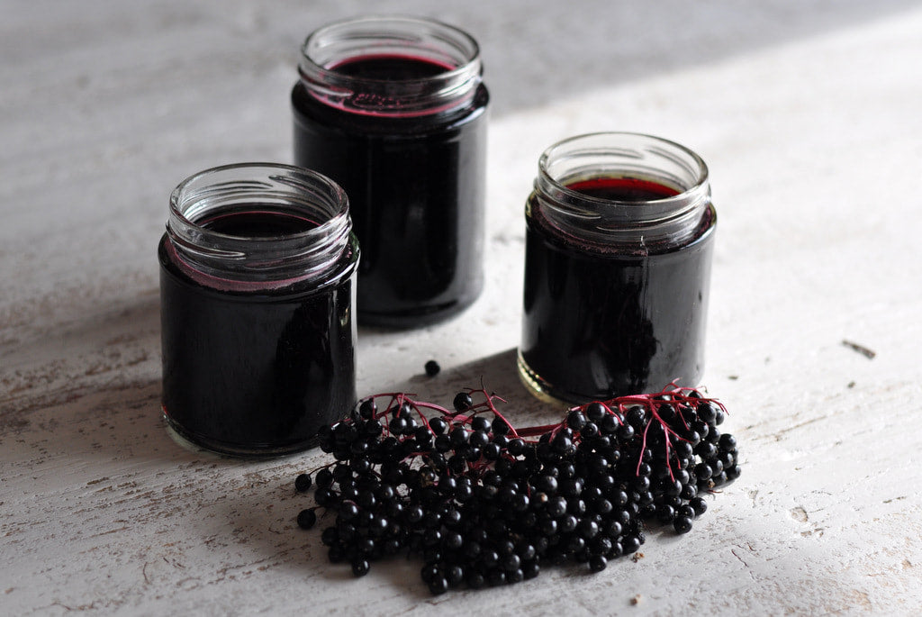 Elderberry Syrup Pack