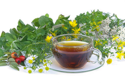 Herbal Tea Blend Organic - Streptococcus Blend